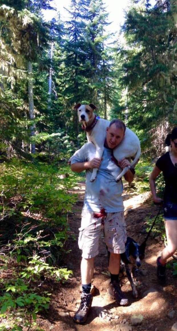 Если вы думаете, что мир - это ужасное место, вот 27 фото специально для вас