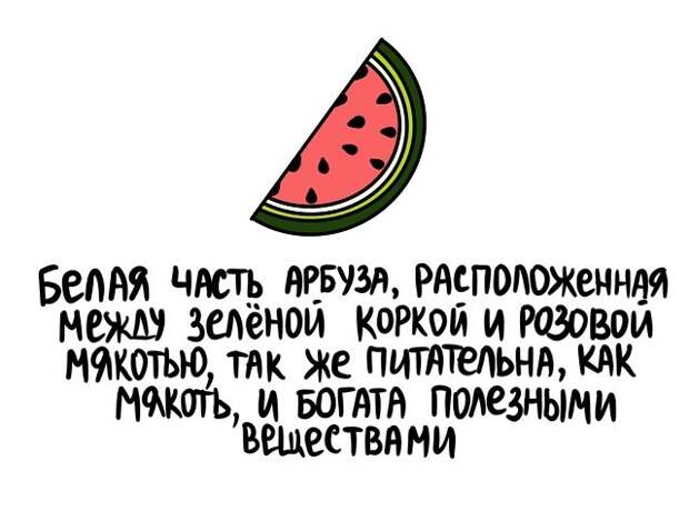 Интересные короткие факты на все случаи жизни