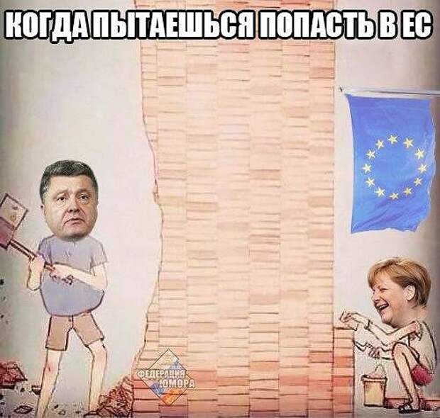 Cojtn3fWIAArx0S.jpg
