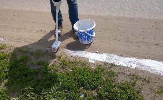 Приколы