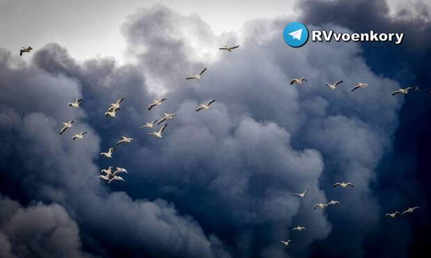 Огромный пожар бушует на базе армии США в Бахрейне после удара Ирана (ВИДЕО)