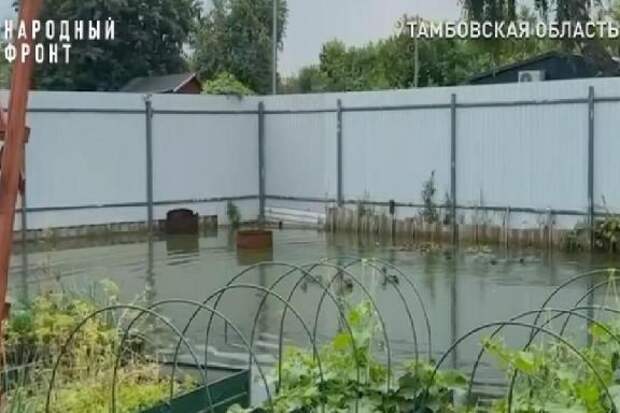 Почти десять лет участки тамбовских дачников утопают в канализационных водах