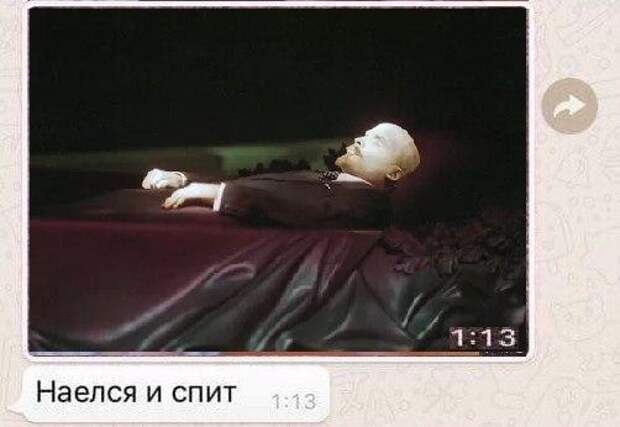Наелся и спит Котенок умер