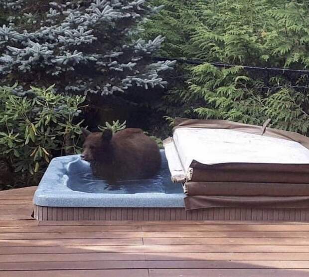 kartinok-veselyh-interesnyh-kartinki-smeshnye-kartinki-fotoprikoly kartinok-veselyh-interesnyh-kartinki-smeshnye-kartinki-fotoprikoly