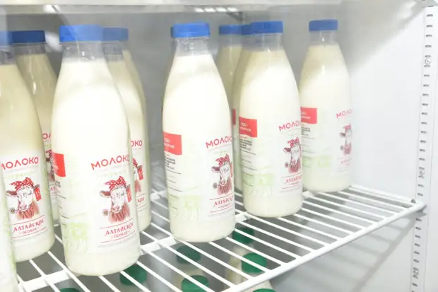 Союз труда и ответственности. Как в алтайском селе за шесть лет построили успешный агрокомплекс