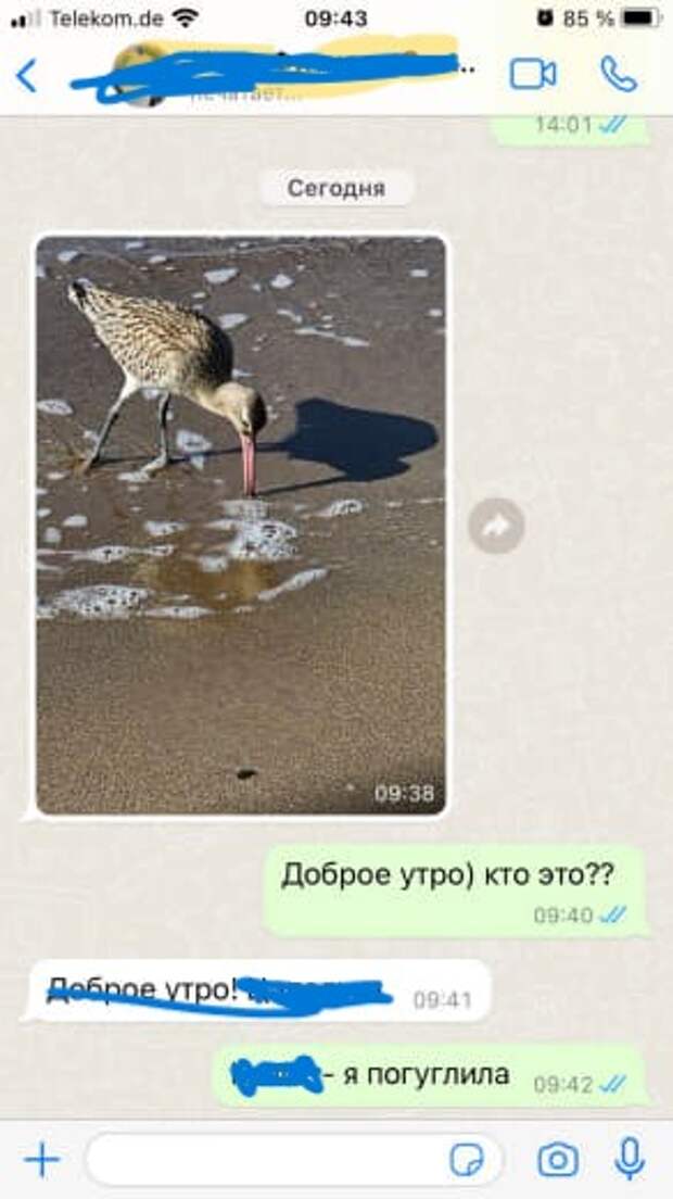 как зовут птичку?)