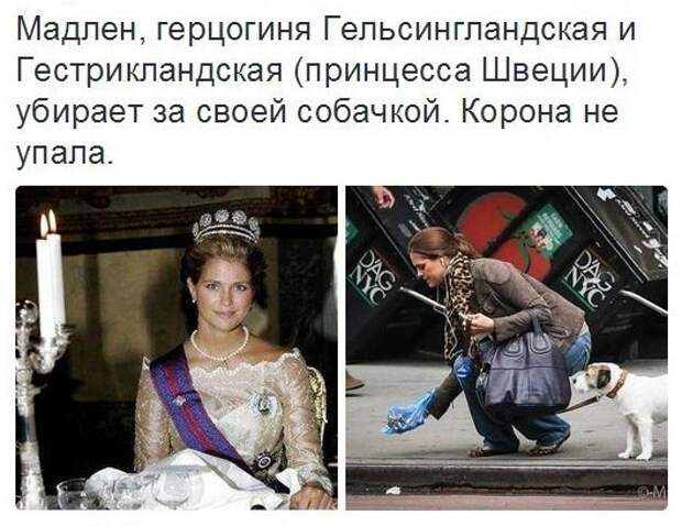 Картинки, юмор, приколы