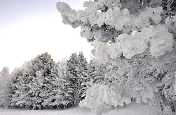 Сибиряки переночевали в палатке в минус 43