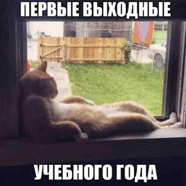 Новые прикольные фотомемы (28 шт)