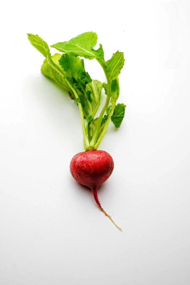 eat+the+radish+greens