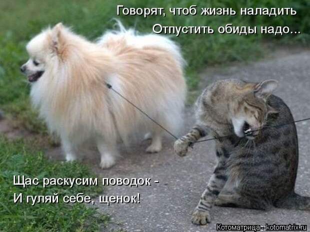 Говорят, чтоб жизнь наладить, отпустить обиды надо... Говорят, чтоб жизнь наладить, отпустить обиды надо...