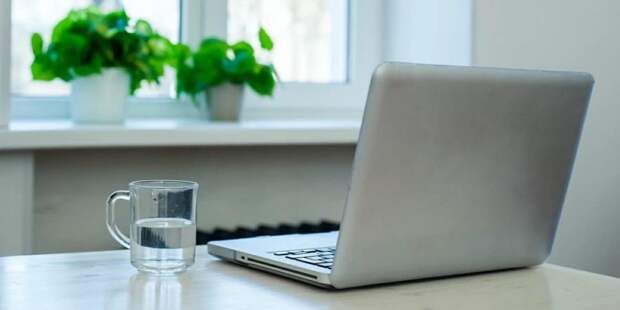 Более 100 тыс онлайн-консультаций провели врачи в Москве для пациентов с COVID-19/ Фото mos.ru