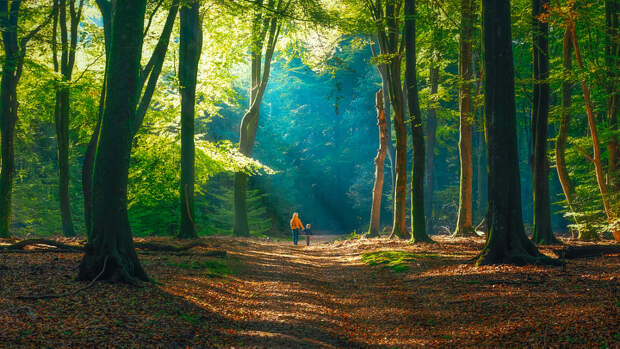 The Path by Thomas de Franzoni on 500px.com