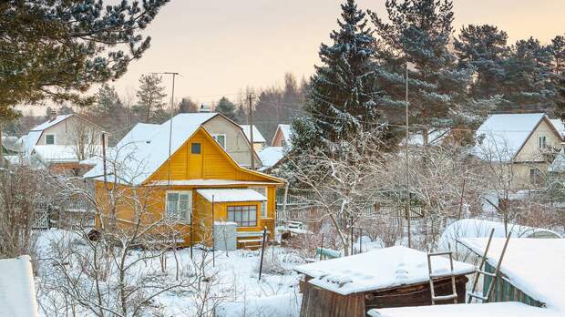 Растения скажут спасибо: как защитить дачу от таяния снега и когда пора начинать