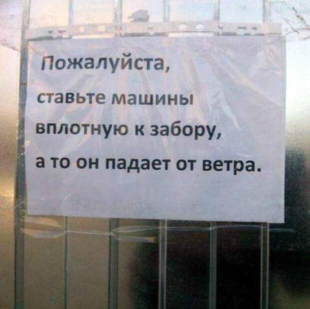 Вся надежда на вас! | Фото: Ribalych.ru. Вся надежда на вас! | Фото: Ribalych.ru.
