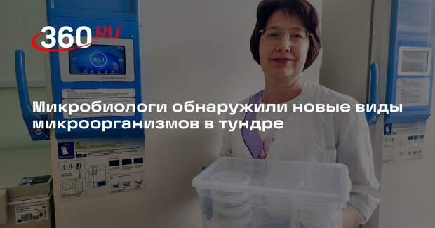 Микробиологи обнаружили новые виды микроорганизмов в тундре