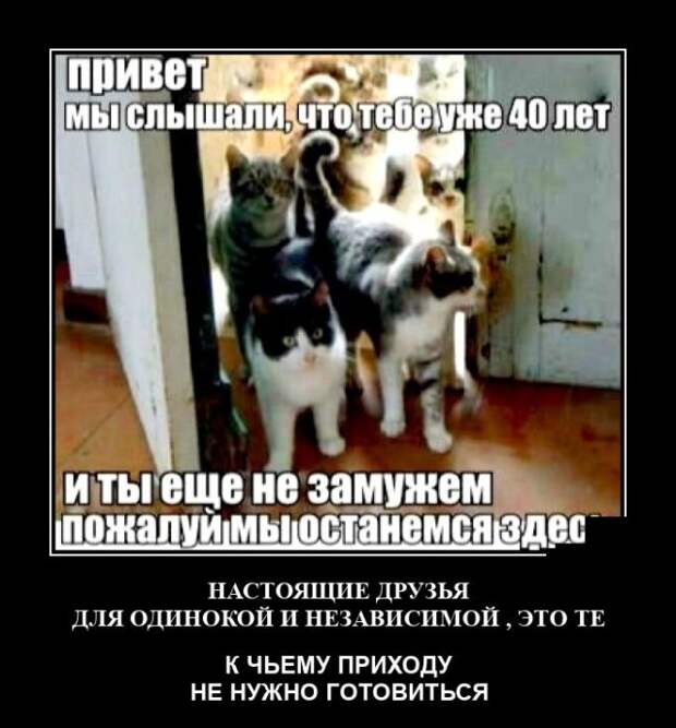 Демотиваторы 5 августа 2021 года