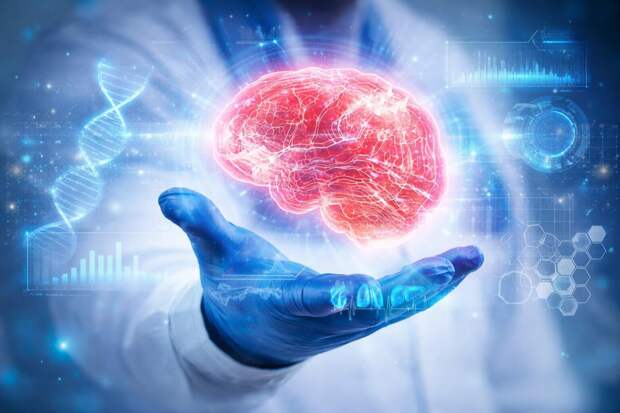 Антивозрастной коктейль может разрушить мозг человека