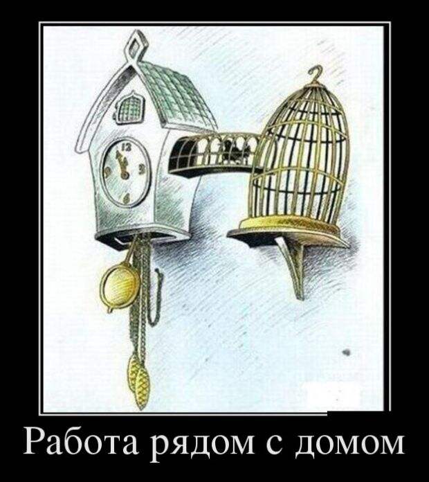 Прикольные и смешные демотиваторы для позитива (11 фото) Прикольные и смешные демотиваторы для позитива (11 фото)