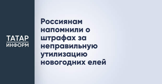Россиянам напомнили о штрафах за неправильную утилизацию новогодних елей