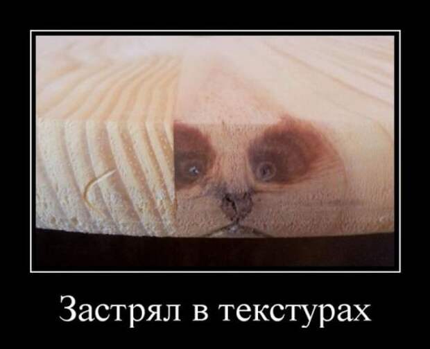 Немного прикольных демотиваторов