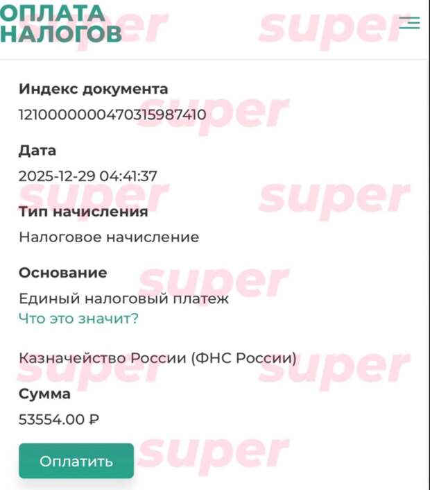 У Насти Ивлеевой появился долг перед налоговой: подробности
