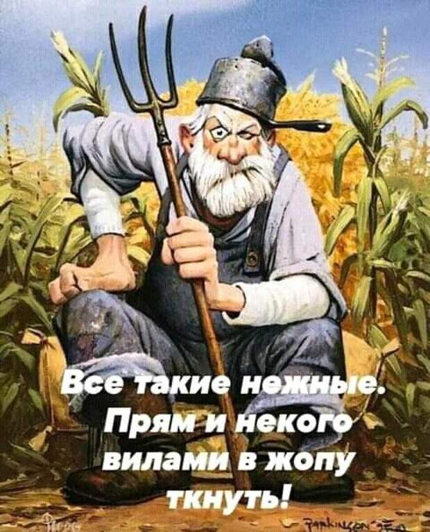 Свежие веселые картинки
