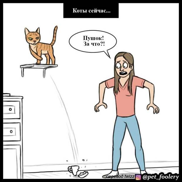 3. животные, комикс, кошка, кошки, рисунки, тогда и сейчас, юмор