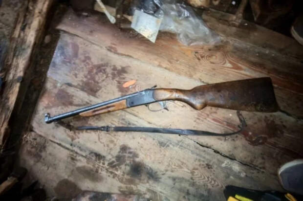 На Украине семилетний мальчик застрелил соседскую девочку из ружья