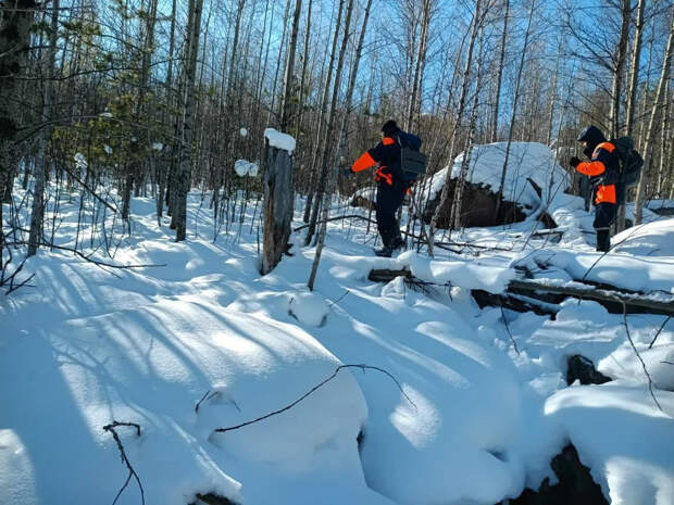 Спасатели рассказали о результатах возобновлённых поисков Усольцевых