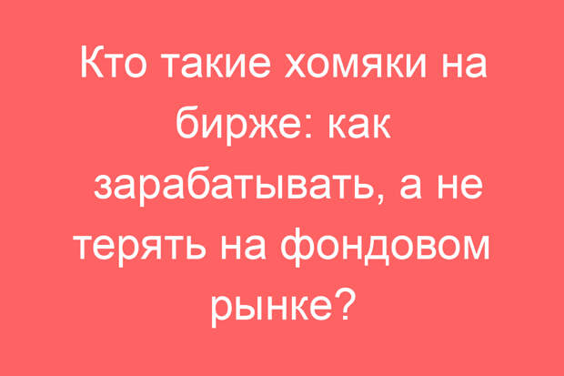 Кто такие хомяки на бирже: как зарабатывать, а не терять на фондовом рынке?