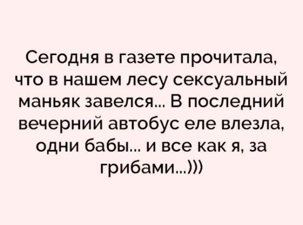 Инженер, бухгалтер, химик и государственный служащий поспорили, чей кот умнее...