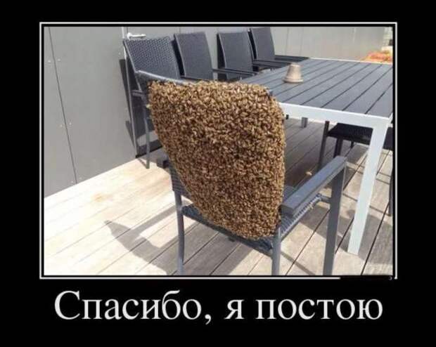 Прикольные демотиваторы с надписями. Подборка chert-poberi-dem-chert-poberi-dem-57530217102020-1 картинка chert-poberi-dem-57530217102020-1