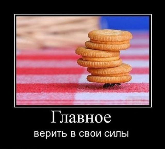 http://banana.by/uploads/posts/2014-06/1403171458_demotivatory_29.jpg