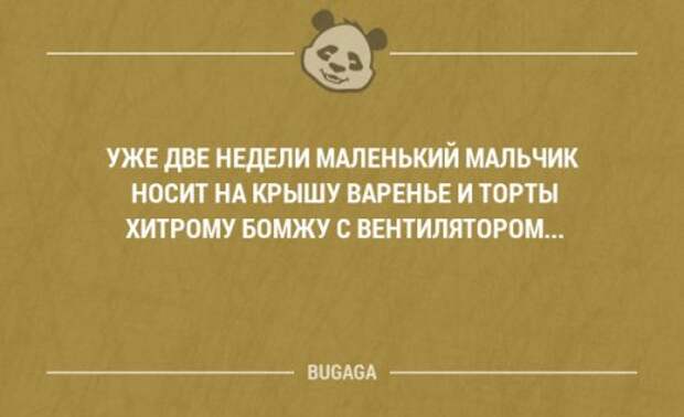 Прикольные фразы в картинках с надписями. Часть 36 (20 шт)