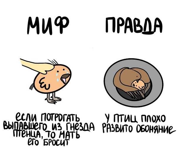 Интересные короткие факты на все случаи жизни