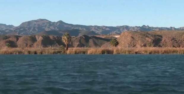 Эксперты ООН подтвердили необратимый водный кризис