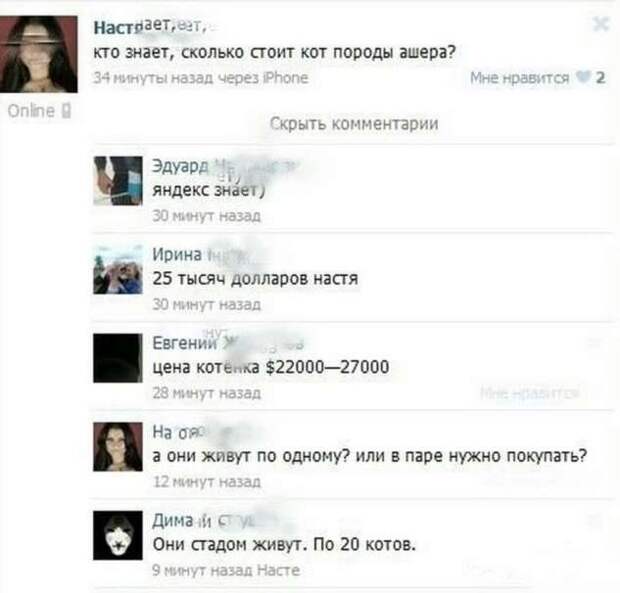 Смешные комментарии. Подборка chert-poberi-chert-poberi-04430603032020-18 картинка chert-poberi-04430603032020-18