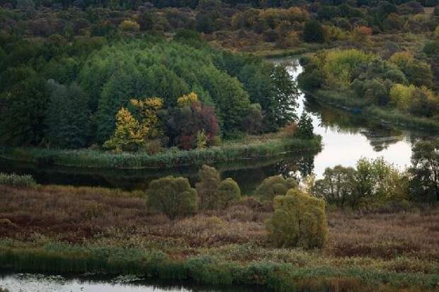 Молодых тамбовчан приглашают в заповедник изучать крапчатых сусликов