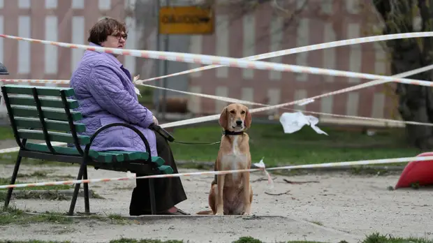 Вирусолог назвал критерии окончания эпидемии коронавируса в России