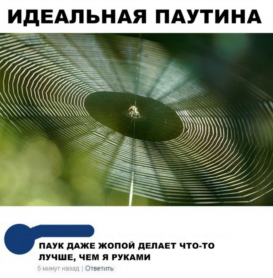 30 прикольных картинок