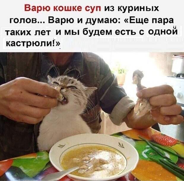 Смешные и познавательные картинки