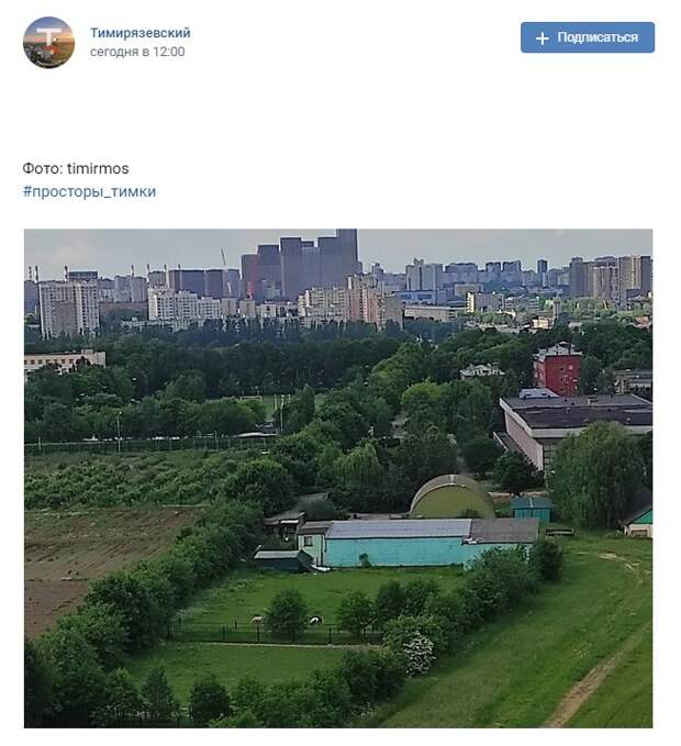 Фото дня: пастбища лошадей в Тимирязевском