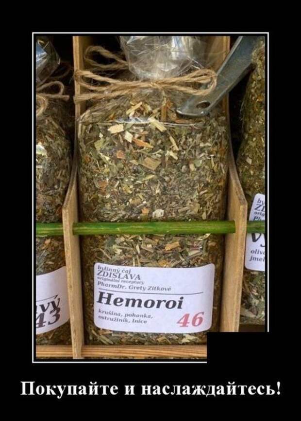 demotivatory-demotivator-smeshnye-demotivatory-demotivator-so-smyslom