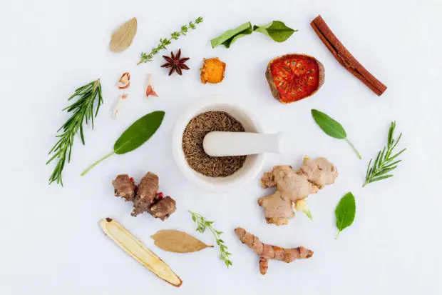 5 причин, почему вы должны есть имбирь каждый день