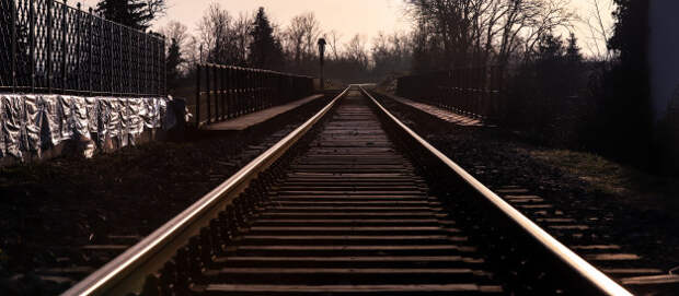 Молодые люди спровоцировали аварийную остановку нескольких поездов, чтобы сделать фото на железнодорожных путях