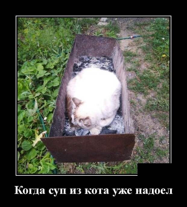 Демотиваторы (30 фото)