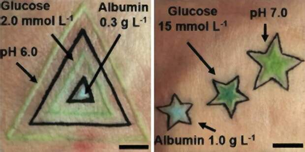 Немецкие учение разработали татуировки, которые сообщают о здоровье