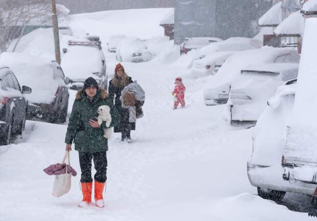 Камчатка переживает снежный апокалипсис. В центре Петропавловска-Камчатского сошла лавина. Что известно о стихии и ее жертвах?