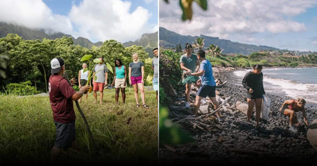 Волонтерство на Мауи: как сделать поездку значимой для природы и культуры острова